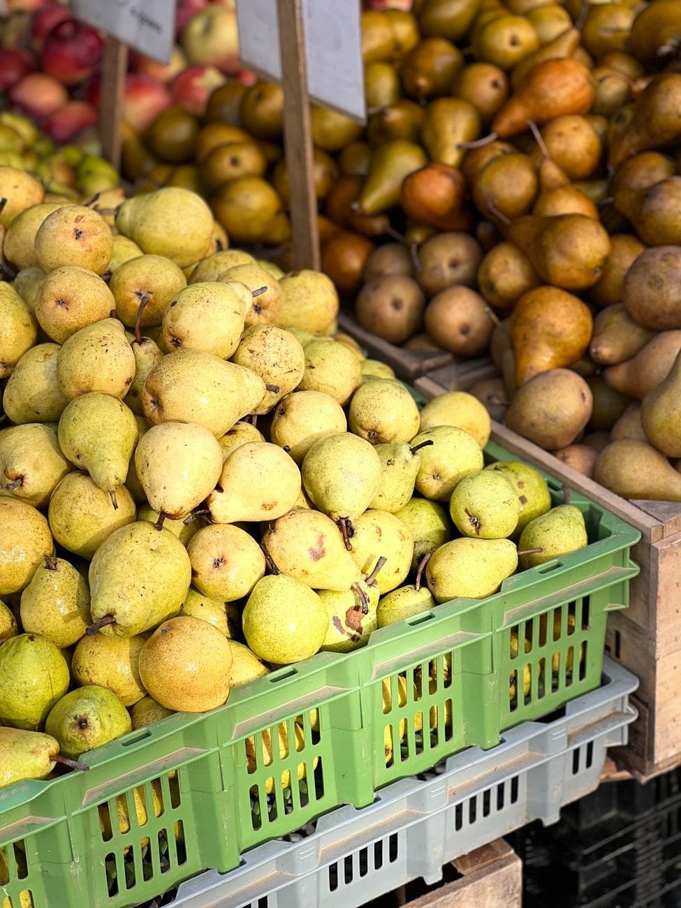 Close up of Various Pears at a — Free Online Jigsaw Puzzle | Jigsaw Planet