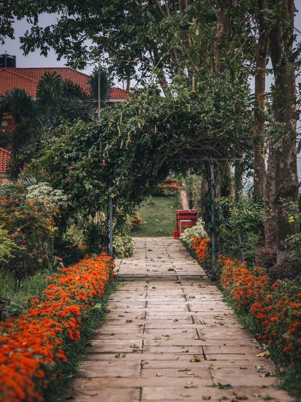 A Picturesque Garden Pathway Lined with Vibrant — Free Online Jigsaw Puzzle | Jigsaw Planet