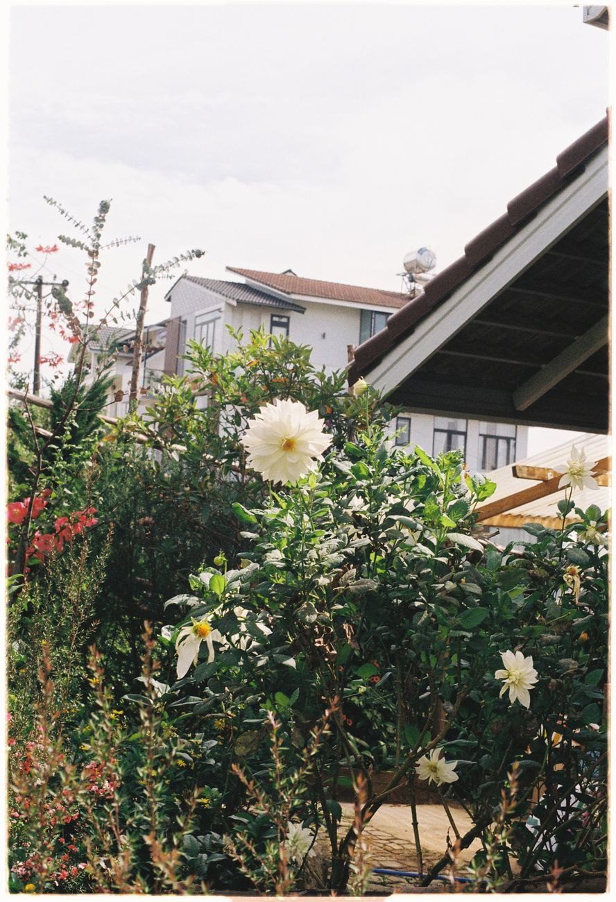 A Picturesque Garden with Lush Greenery and jigsaw puzzle