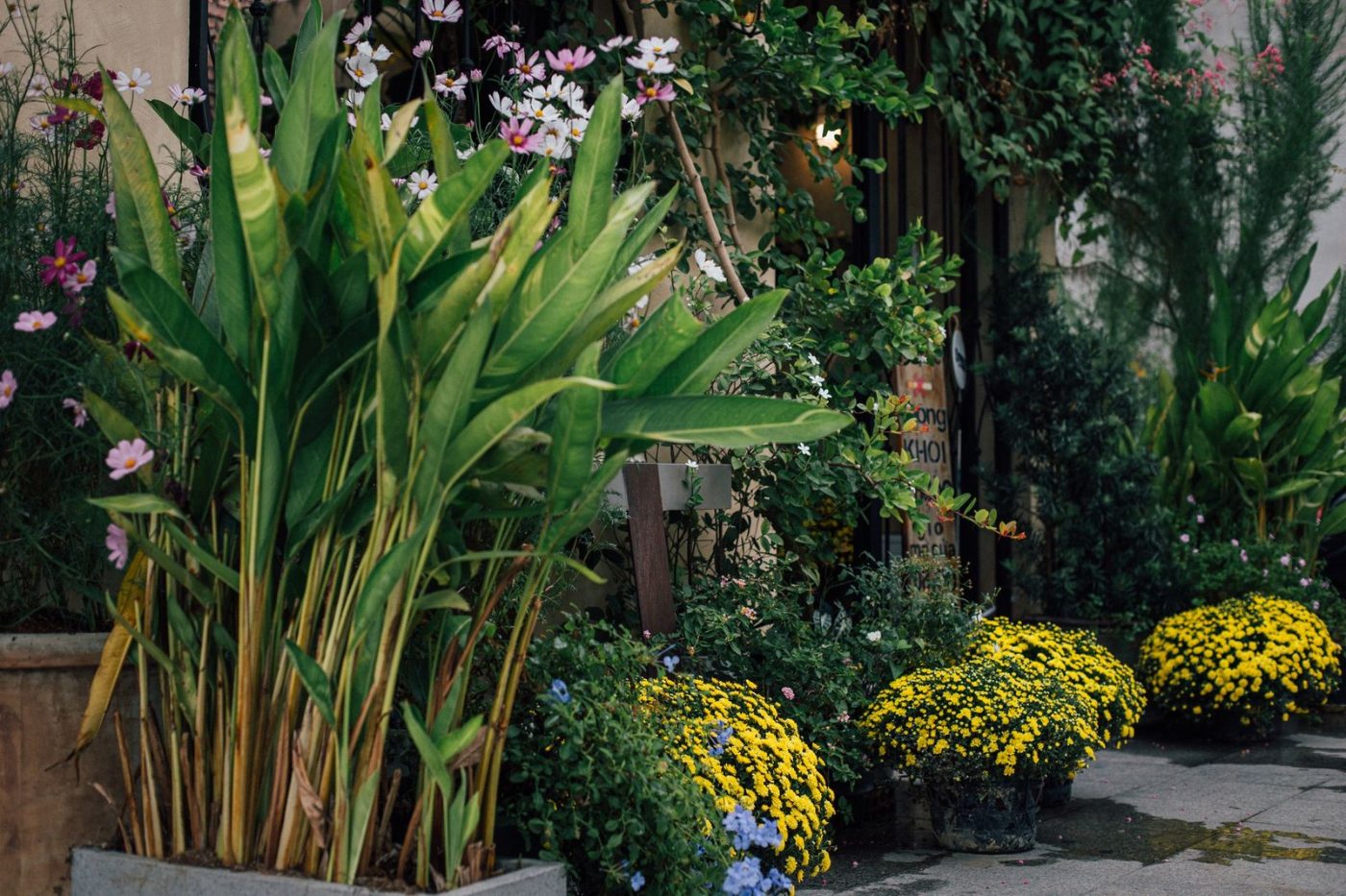 Lush Garden with Colorful Flowers and Green jigsaw puzzle