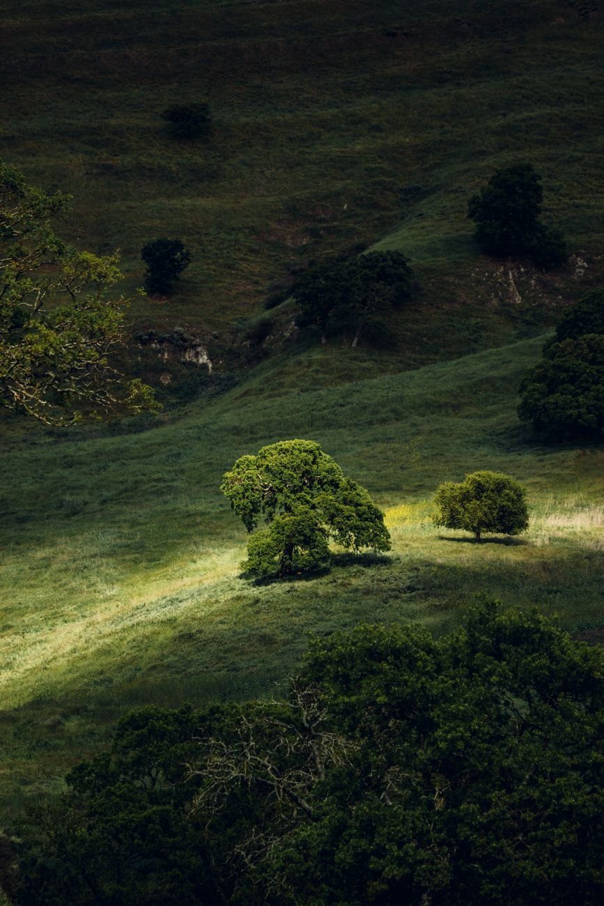Scenic View of Lush Green Hills with jigsaw puzzle