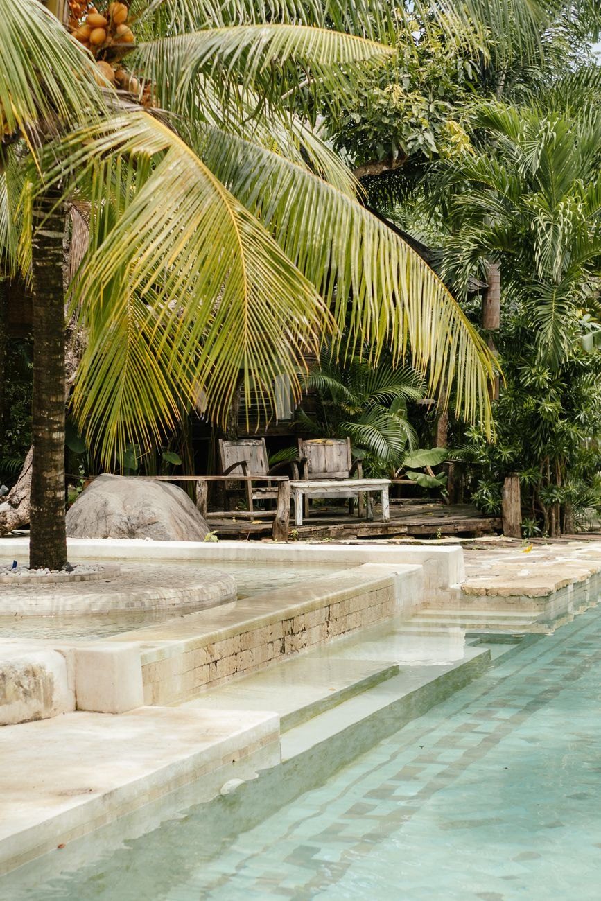 Serene Swimming Pool Surrounded by Lush Tropical jigsaw puzzle