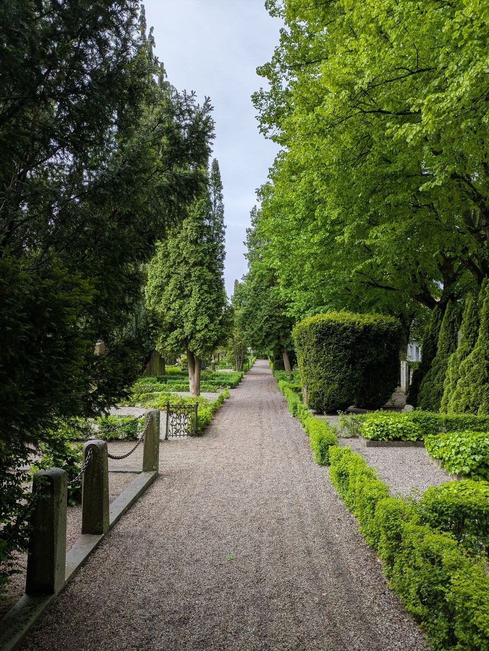 Tranquil Garden Path Lined with Lush Green jigsaw puzzle