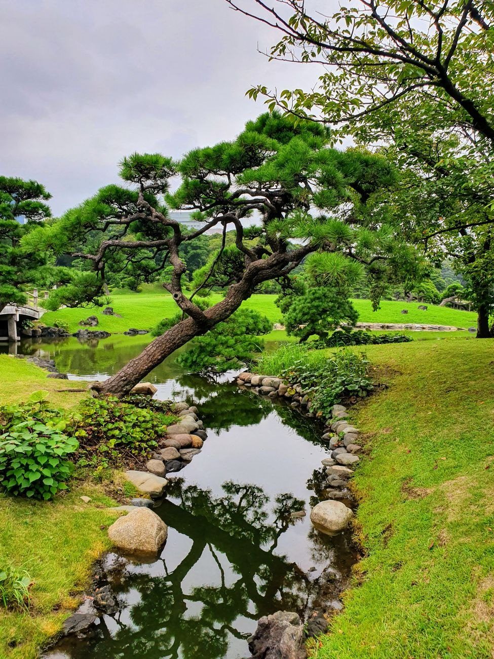 Tranquil Scene of a Japanese Garden with jigsaw puzzle