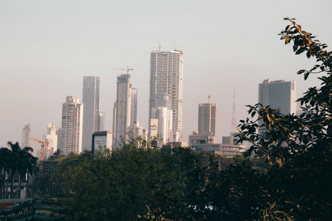 City Skyline with Skyscrapers and Trees During jigsaw puzzle